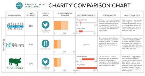 kiva charity rating|animal charity ratings guide.